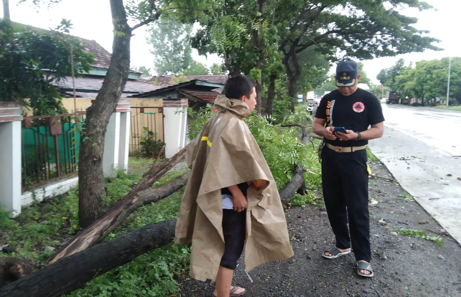 pohon-tumbang-di-jalur-pantura-wilayah-kaliori-petugas-kecamatan-sigap-dan-berhasil-dibersihkan
