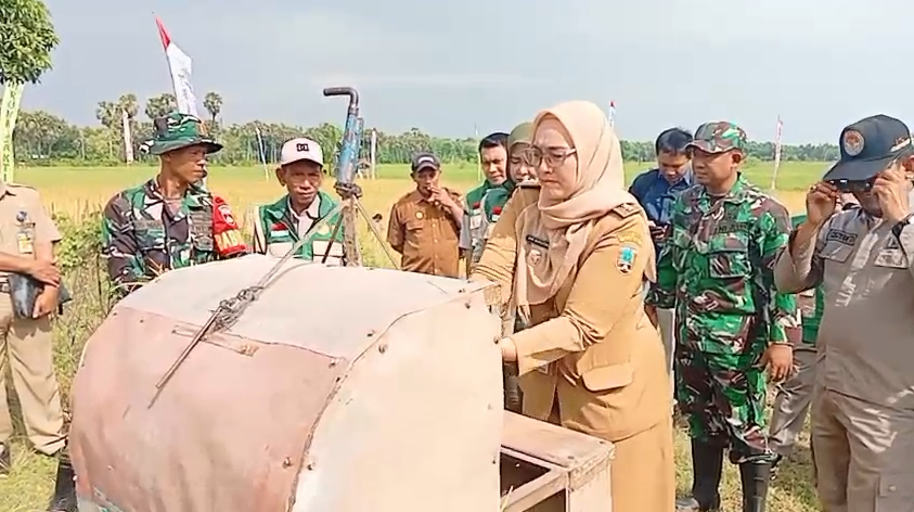 panen-perdana-padi-di-desa-mojorembun-camat-dwi-dorong-peningkatan-produktivitas-petani