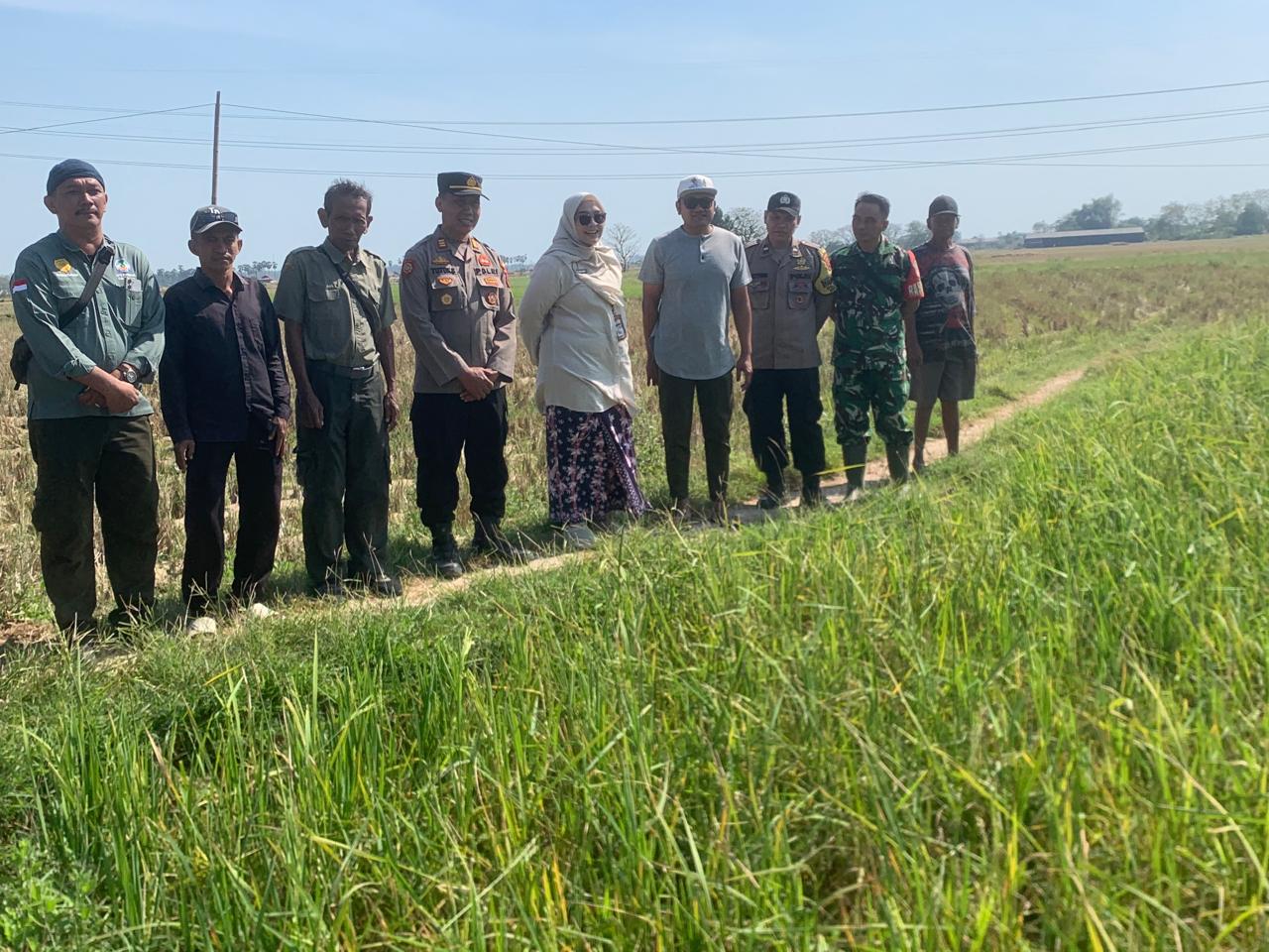 camat-kaliori-bersama-forkopimcam-tinjau-lahan-pertanian-terdampak-serangan-hama-di-desa-maguan